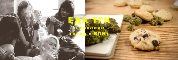 прущие грибы Новозыбков