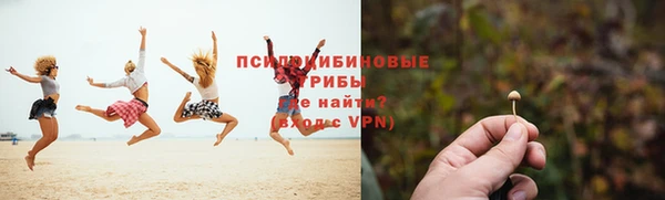 МДПВ Абинск